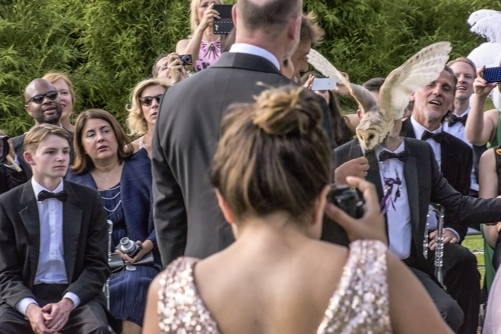 L'image de Juillet 2019