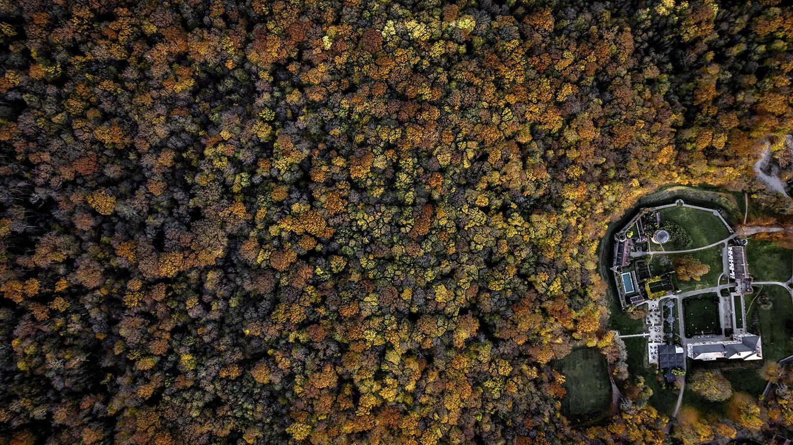Château de Vallery vu de drone en automne